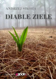 Diable ziele - Andrzej Sikora