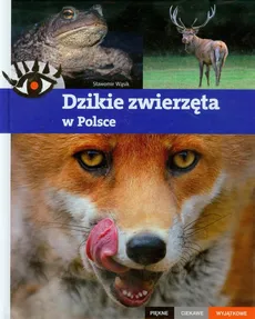 Dzikie zwierzęta w Polsce Piękne ciekawe wyjątkowe - Sławomir Wąsik