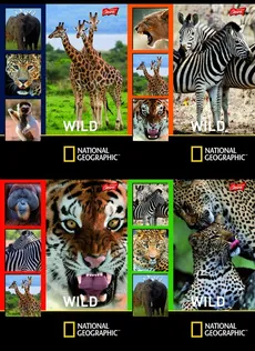 Zeszyt A5 National Geographic w kratkę 32 kartki 15 sztuk mix