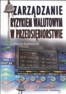 Zarządzanie ryzykiem walutowym w przedsiębiorstwie. Outlet - uszkodzona okładka - Outlet - Marcin Kalinowski
