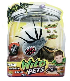 Wild Pets pająk Wolfgang