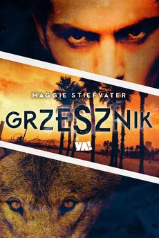 Grzesznik - Outlet - Maggie Stiefvater