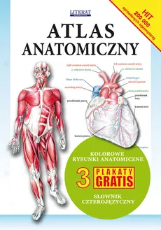 Atlas anatomiczny - Outlet