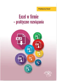 Excel w firmie - praktyczne rozwiązania - Outlet - Katarzyna Kaczanowska
