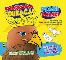 Kolorowa edukacja Ptaki Polski - Outlet - Krystyna Jędrzejewska-Szmek, Michał Kryciński