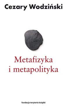 Metafizyka i metapolityka Czarne zeszyty Heideggera - Cezary Wodziński