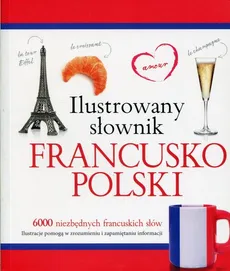 Ilustrowany słownik francusko-polski - Tadeusz Woźniak
