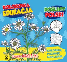 Kolorowa edukacja Rośliny Polski naklejka - Outlet