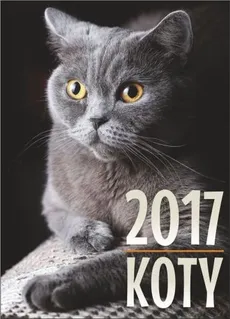 Kalenadrz 2017 Koty - Outlet