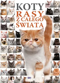 Koty rasy z całego świata - Outlet