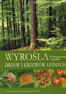 Wyrośla drzew i krzewów leśnych - Tadeusz Kowalski, Małgorzata Skrzypczyńska