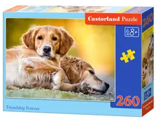 Puzzle Friendship Forever 260 - Outlet
