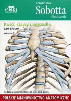Anatomia Sobotta Flashcards Kości stawy i więzadła - Outlet - Lars Brauer