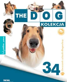 The Dog Owczarek Szkocki Długowłosy - Outlet