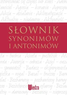 Słownik synonimów i antonimów - Outlet - Dąbkowski G., Marcjanik M.