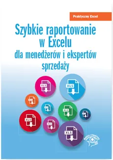 Szybkie raportowanie w Excelu - Wojciech Próchnicki