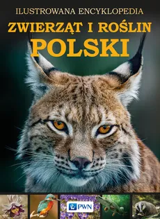 Ilustrowana Encyklopedia Zwierząt i Roślin Polski - Outlet