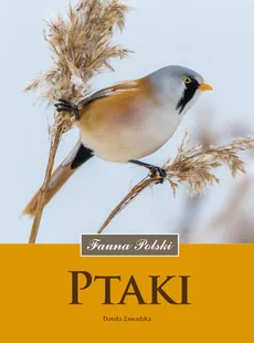 Ptaki Fauna Polski - Outlet - Dorota Zawadzka