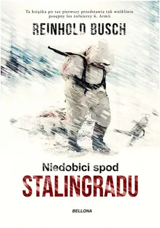 Niedobici spod Stalingradu - Reinhold Busch