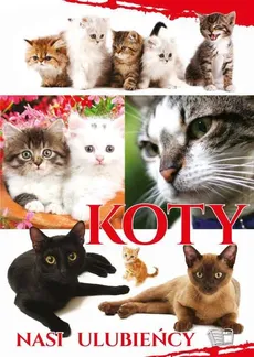 Koty Nasi Ulubieńcy - Outlet