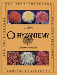 Chryzantemy Odmiany i uprawa - Outlet - Marek Jerzy
