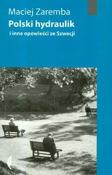 Polski hydraulik i inne opowieści ze Szwecji - Maciej Zaremba
