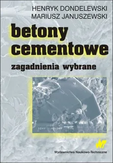 Betony cementowe - Henryk Dondolewski, Mariusz Januszewki