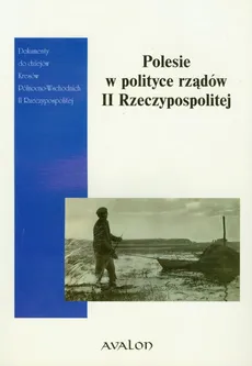 Polesie w polityce rządów II Rzeczypospolitej