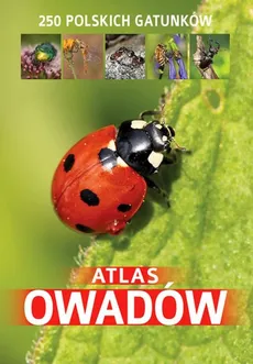 Atlas owadów - Outlet - Kamila Twardowska, Jacek Twardowski