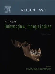 Wheeler Budowa zębów, fizjologia i okluzja - Outlet - Nelson Stanley J., Grażyna Śmiech-Słomkowska