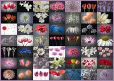 Puzzle Schmidt 2000 Kwiatowe inspiracje - Outlet