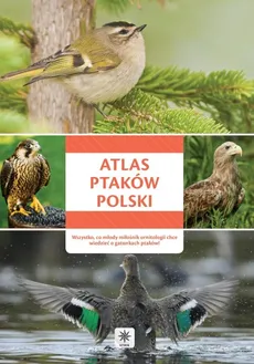 Atlas ptaków Polski - Outlet
