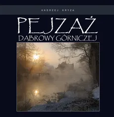 Pejzaż Dąbrowy Górniczej - Andrzej Kryza