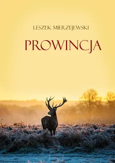 Prowincja - Outlet - Leszek Mierzejewski