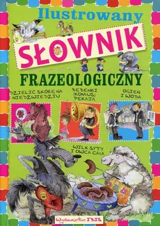 Ilustrowany słownik frazeologiczny dla dzieci - Outlet - Agnieszka Nożyńska-Demianiuk
