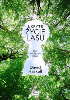 Ukryte życie lasu - Outlet - David Haskell