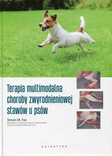 Terapia multimodalna choroby zwyrodnieniowej stawów u psów - Fox Steven M.