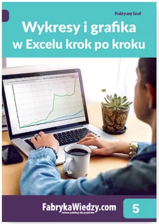 Wykresy i grafika w Excelu krok po kroku - Outlet - Krzysztof Chojnacki, Piotr Dynia