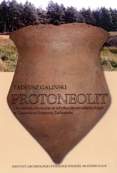 Protoneolit - Outlet - Tadeusz Galiński