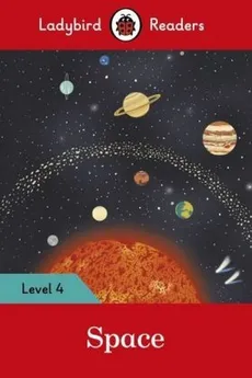 Space Level 4