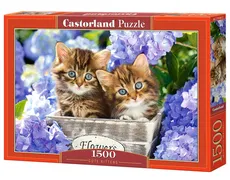 Puzzle 1500 Cute Kittens