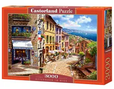 Puzzle Afternoon in Nice 3000