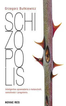 Schizopolis - Grzegorz Butkiewicz