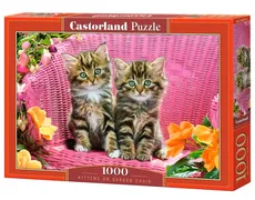Puzzle Kittens on Garden Chair 1000