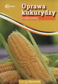 Uprawa kukurydzy cukrowej - Jadwiga Borowiak