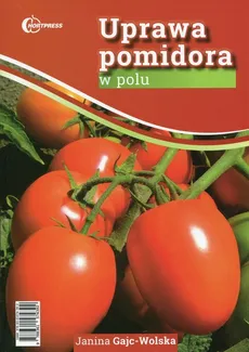 Uprawa pomidora w polu - Janina Gajc-Wolska