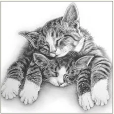 Karnet śpiące koty szkic 16x16 + koperta