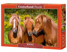 Puzzle 1000 Horse Friends