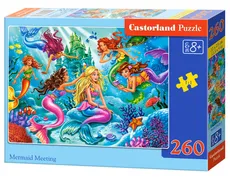 Puzzle Mermaid Meeting 260