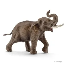 Słoń azjatycki